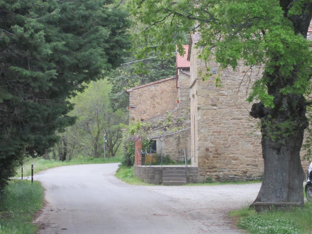 Bed And Breakfast Country Hill アレッツォ エクステリア 写真